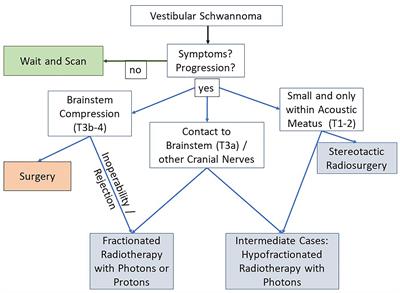 Effectiveness and Toxicity of Fractionated Proton Beam Radiotherapy for Cranial Nerve Schwannoma Unsuitable for Stereotactic Radiosurgery